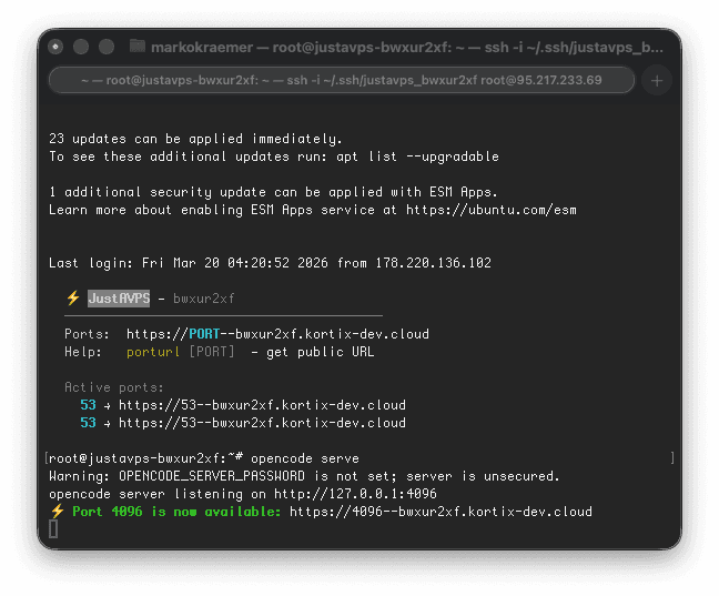 SSH session showing automatic JustAVPS port detection and forwarded URLs
